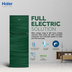 Haier HRF-276 EPG 10 Cu Ft