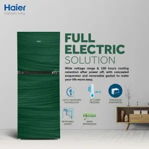 HAIER Haier HRF-538 EPR/EPG Refrigerator 19 Cu Ft/E-Star Series/